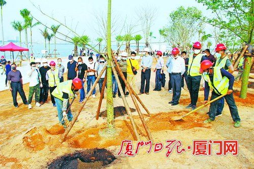 廈門 綠化企業(yè)信用越好 招投標機會越多