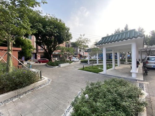 厚街鎮積極推進園林綠化品質提升工程，5個口袋公園建成落地