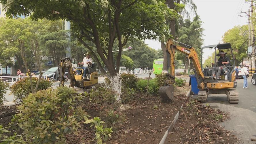 應城市園林綠化服務中心全面啟動漢宜大道、古城大道綠化改造及體育場地設施工程建設