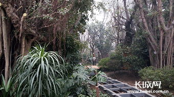 唐山世園熱帶植物館 奧秘與魅力的交織，體育場地設施工程的匠心打造